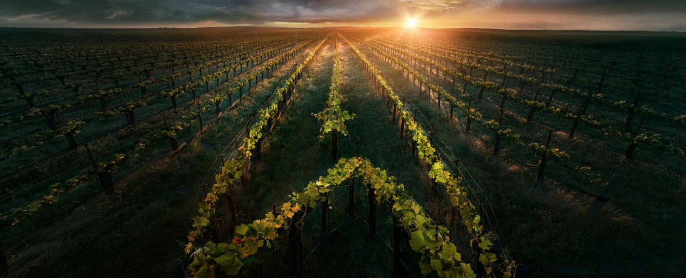 Nach „The Walking Dead“: Streamingdienst sichert sich auch „Star Trek“-Serie – Weitere Heimat für Serie um den beliebtesten Captain – Bild: CBS All Access