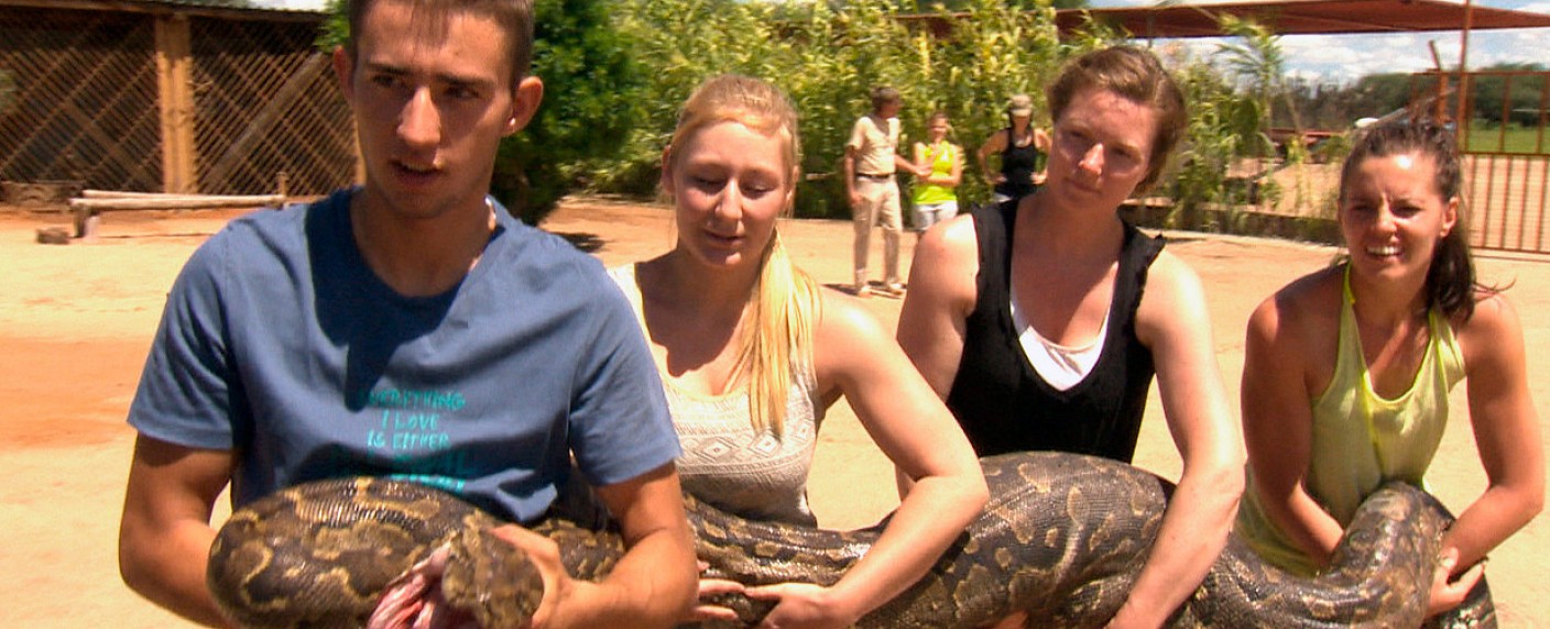 Das Erste setzt „Das Waisenhaus für wilde Tiere“ ab – Vorzeitige Rückkehr von „Elefant, Tiger & Co.“ – Bild: SWR/​Harald Mittermüller