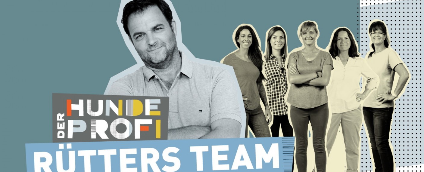 „Der Hundeprofi“: Martin Rütter kehrt mit seinem Team zurück – „4 Hochzeiten – Von Braut zu Braut“ neu am VOX-Nachmittag – Bild: TVNOW/​Boris Breuer/​Simon Veith