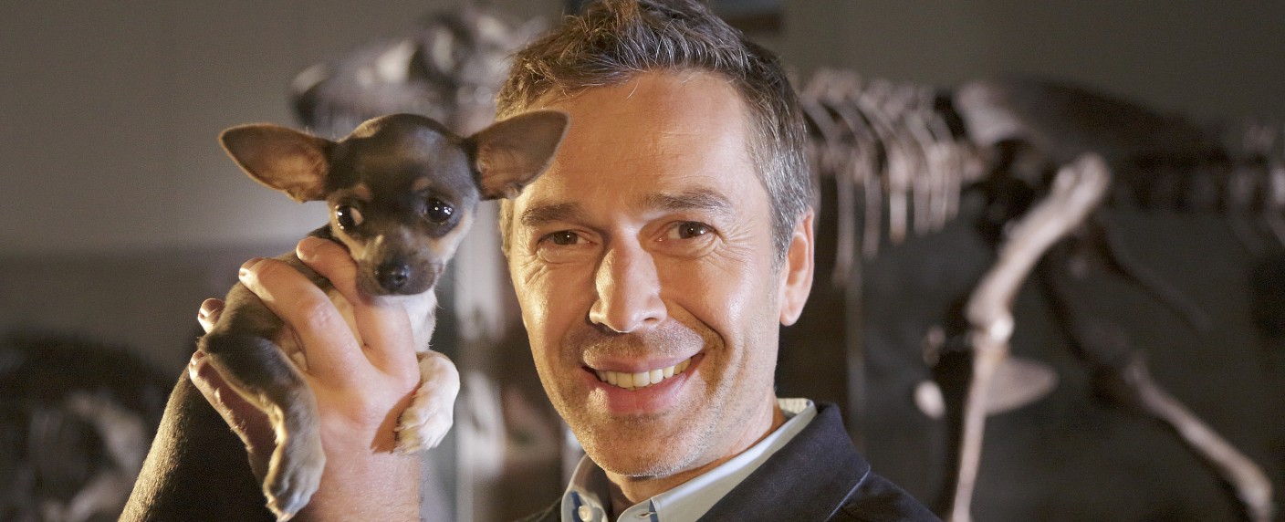 „Terra X“: Neue „Supertiere“-Staffel und Zeitreise durch Deutschland – Zweiteiler für September und Jahresende angekündigt – Bild: obs/​ZDF