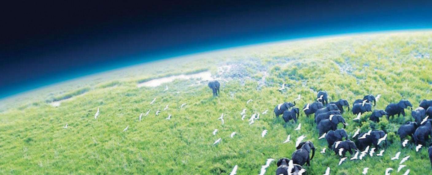 „Unser Planet“: Netflix produziert „Planet Erde“-Nachfolger – Achtteilige Reihe für 2019 in Ultra-HD geplant – Bild: BBC