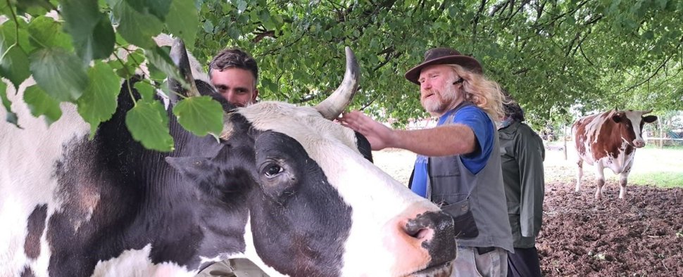 „Die Landtierärzte“ und ihre tierischen Patienten – Bild: RTL