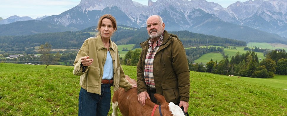 „Die Maiwald“: Dr. Johanna Maiwald (Doris Schretzmayer) und Andreas Reindl (August Schmölzer) – Bild: ZDF/André Kowalski