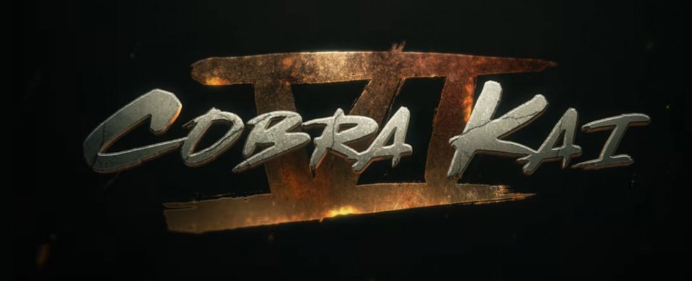Die sechste Staffel von „Cobra Kai“ wird die Letzte – Bild: Netflix