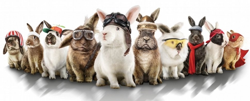 Die Teilnehmer des „Osterhasen-Rasens“ – Bild: Endemol beyond