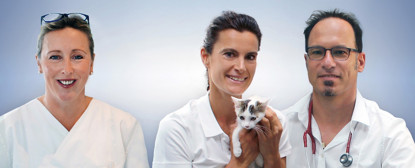 „Die Tierärzte“ entern den ARD-Nachmittag – Neue Dokutainmentreihe im Ersten – Bild: NDR/​Doclights