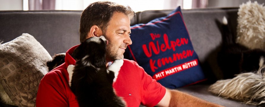 Martin Rütter kümmert sich bald um Hundewelpen – „Die Welpen kommen“ am Sonntagvorabend bei RTL – Bild: MG RTL D /​ Arya Shirazi