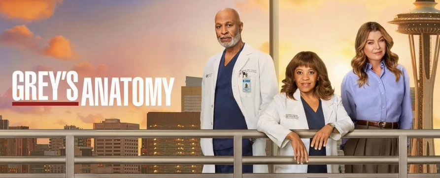 Disney+- und Hulu-Highlights im Mai: „Grey’s Anatomy“, „The Punisher“-Special und „Rivals“ – Monatshöhepunkte beim Maus-Streamingdienst im Überblick – Bild: ABC
