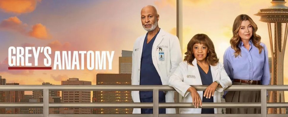 Diese Ur-Stars von „Grey’s Anatomy“ sind auch in Staffel 22 noch dabei: (v. l.) James Pickens Jr., Chandra Wilson und Ellen Pompeo – Bild: ABC