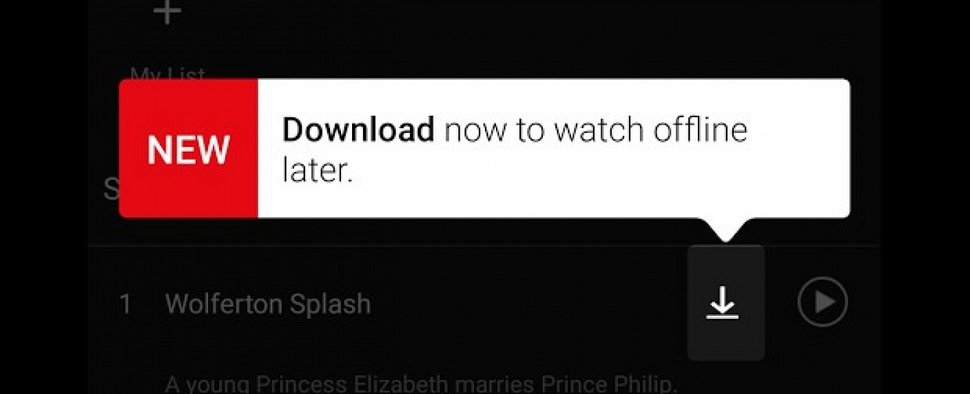 Download-Option bei Netflix-App – Bild: Netflix