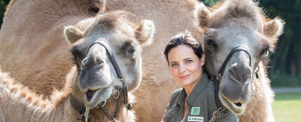 Elisabeth Lanz ist „Tierärztin Dr. Mertens“ – Bild: ARD/Steffen Junghans