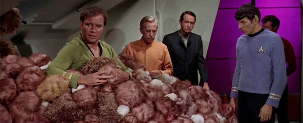 Wer – außer den Klingonen – könnte den Tribbles nicht verfallen? Kirk, Spock und viele Tribbles in „Raumschiff Enterprise“ – Bild: Paramount TV