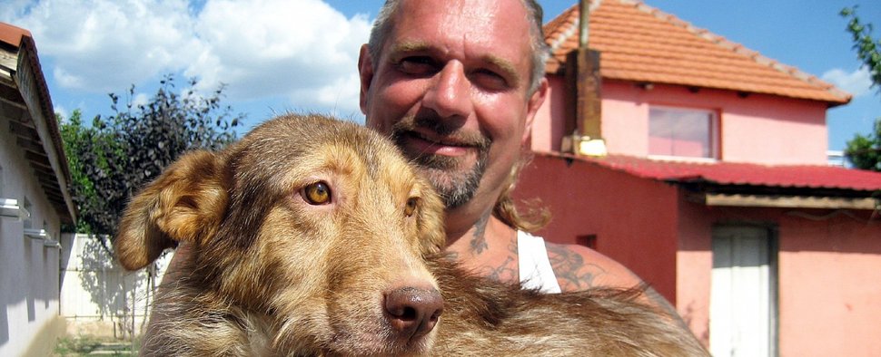 „Harte Hunde – Ralf Seeger greift ein“ – Bild: VOX/DOCMA TV