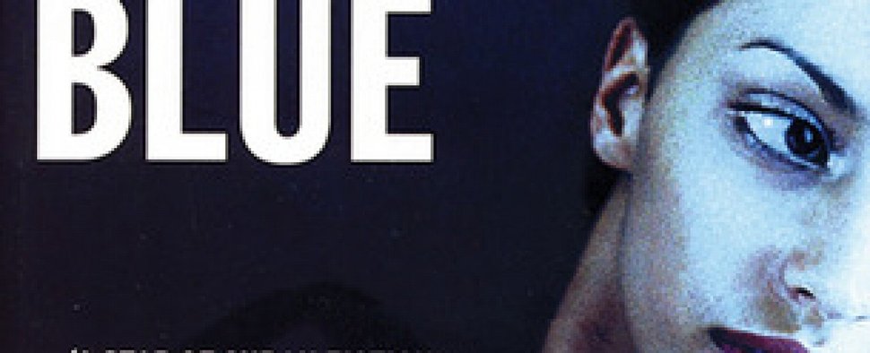 Ausschnitt aus dem Cover der amerikanischen Buchausgabe von „Havana Blue“ – Bild: Bitter Lemon Press