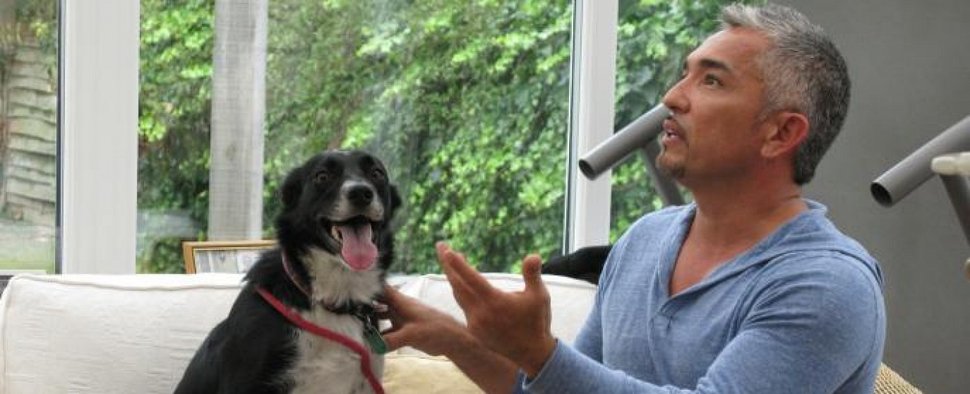 „Hundeflüsterer“ Cesar Millan ist ab Januar in der sixx-Daytime zu Hause – Bild: MPH - Emery/Sumner Joint Venture / Ryan Cass