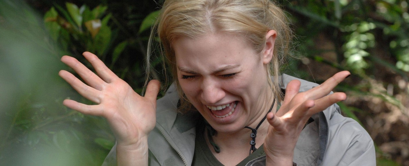 Dschungelfieber: RTL verzichtet erneut auf „Person of Interest“ – Zietlow und Hartwich lästern über „Wetten, dass..?“ – Bild: RTL/​Stefan Menne