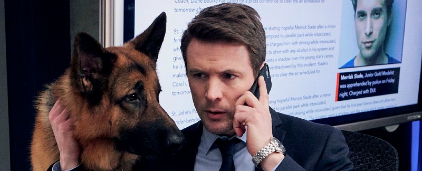 „Hudson & Rex“: Deutschlandpremiere für dritte Staffel im Oktober – Krimiserie wird in Kanada mit vierter Staffel fortgesetzt – Bild: City TV