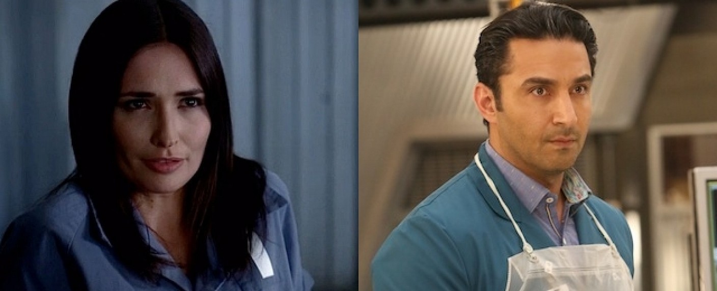 „Sneaky Pete“: Cranstons Amazon-Serie engagiert Karolina Wydra, Pej Vahdat – Darsteller aus „True Blood“ und „Bones“ verstärken das Ensemble – Bild: HBO/​FOX