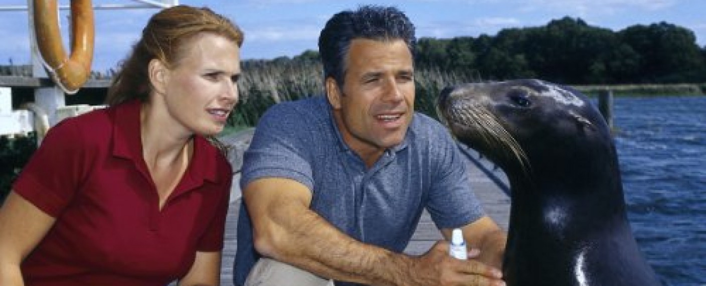 „Hallo Robbie!“: Serienklassiker wird wiederholt – Heimatkanal holt ZDF-Serie aus dem Archiv – Bild: ZDF