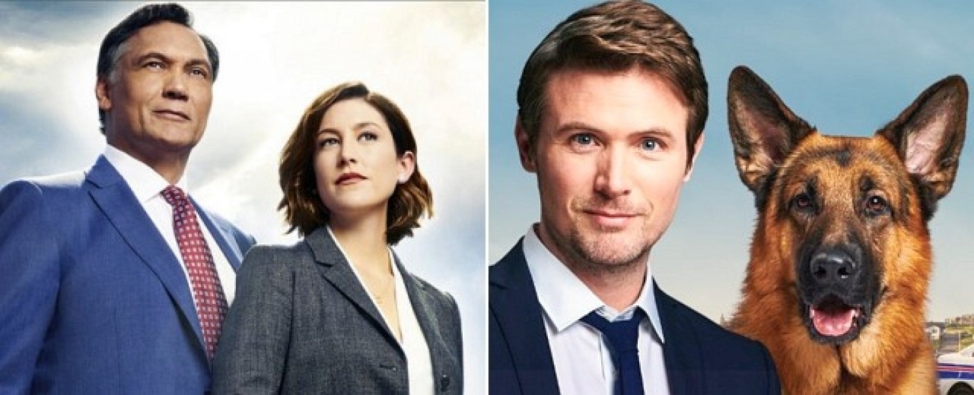 „Hudson & Rex“ und „Bluff City Law“: Neuzugänge bei TNT Serie im Oktober – TNT Comedy zeigt neue Staffeln von „Search Party“ sowie „Close Enough“ – Bild: NBC/​City TV