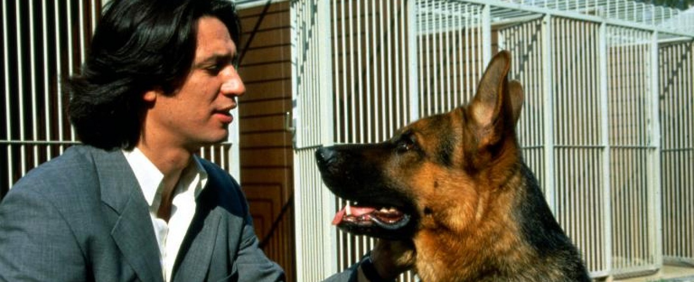 „Kommissar Rex“: Sat.1 Gold wiederholt Krimiserie von Anfang an – Aus dem „Montagsfilm“ wird der „Montagsschnüffler“ – Bild: Sat.1 /​ Ali Schafler