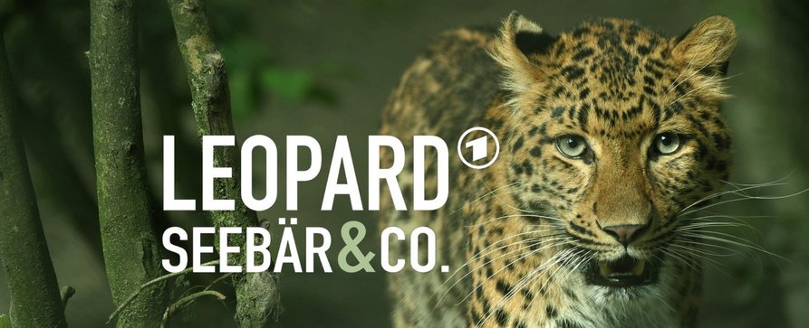 Zoo-Doku-Überraschung: „Leopard, Seebär & Co.“ wird fortgesetzt – NDR zeigt vorerst drei neue Folgen im Dezember – Bild: NDR Zoo-Doku-Überraschung: „Leopard, Seebär & Co.“ wird fortgesetzt – NDR zeigt vorerst drei neue Folgen im Dezember – Bild: NDR