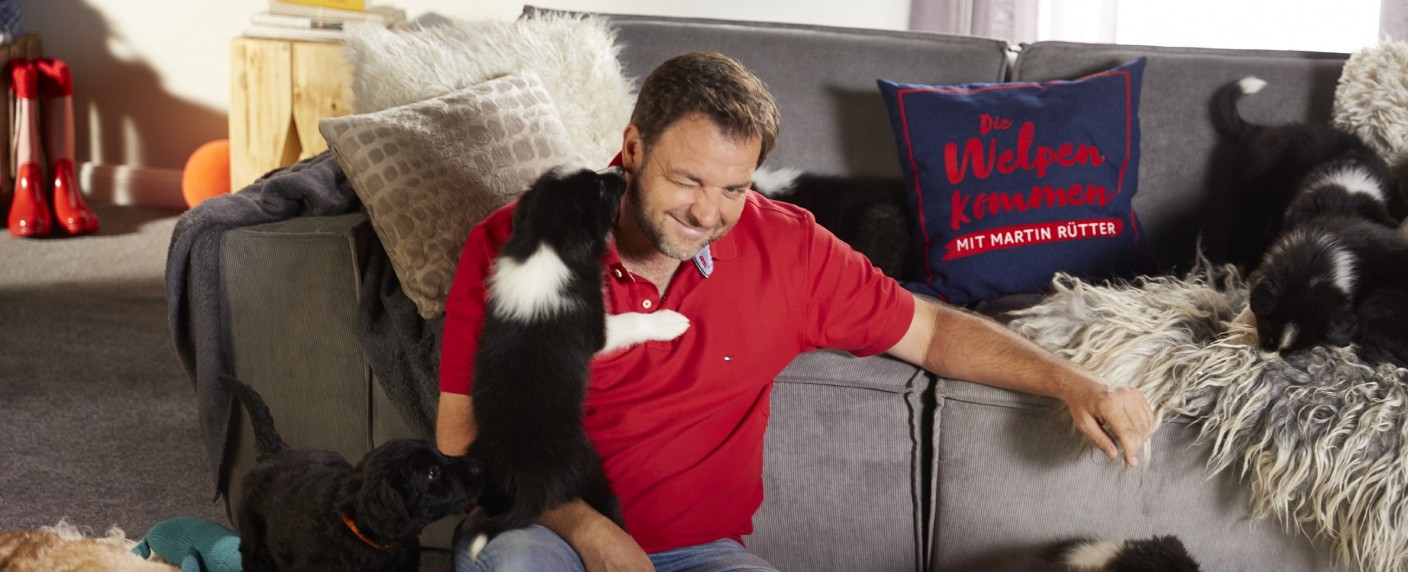„Martin Rütter – Die Welpen kommen“ bald wieder am Vorabend – Doku-Soap tauscht Sendeplatz mit „Exclusiv – Weekend“ – Bild: RTL/​Arya Shirazi