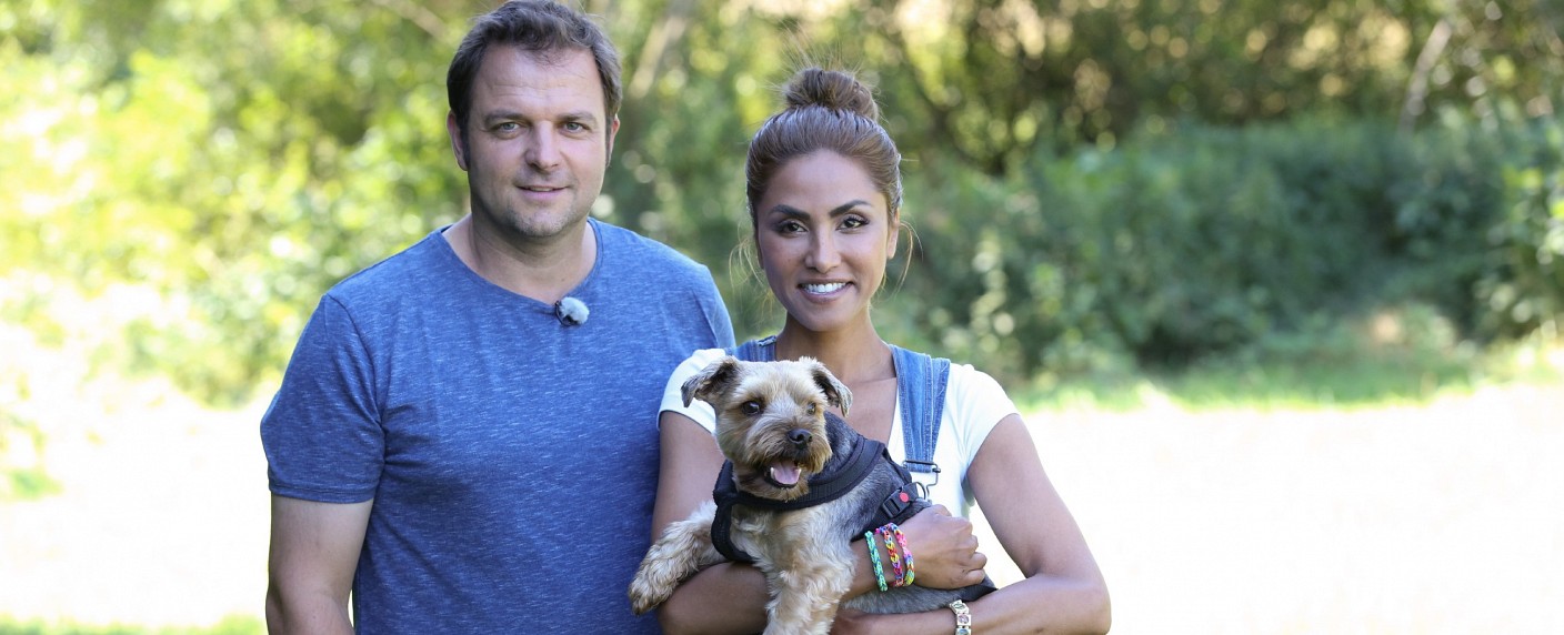 VOX zeigt neue Folgen von „Der V.I.P. Hundeprofi“ – Kastrop, Setlur und Anders bitten Martin Rütter um Rat – Bild: VOX/​Ralf Juergens