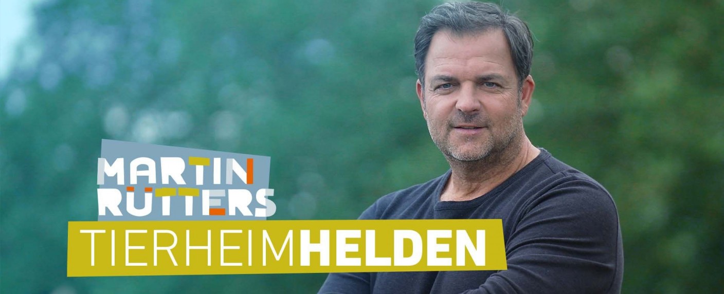 Martin Rütter und VOX porträtieren „Tierheimhelden“ – Neue Doku-Reihe mit dem „Hundeprofi“ startet – Bild: RTL