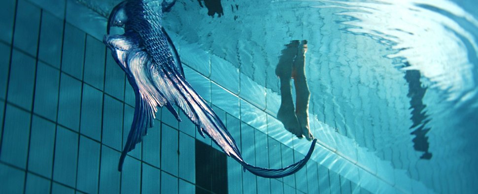 "Mermaids to Lovers": Die neue Young-Adult-Serie, die nicht unbedingt hält, was sie verspricht – Review – Enemies to Lovers zwischen Chlor und Perlmutt – Bild: RTL "Mermaids to Lovers": Die neue Young-Adult-Serie, die nicht unbedingt hält, was sie verspricht – Review – Enemies to Lovers zwischen Chlor und Perlmutt – Bild: RTL