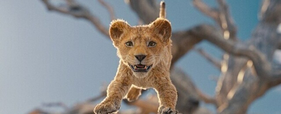 Mufasa hat es in jungen Jahren nicht leicht – Bild: Disney