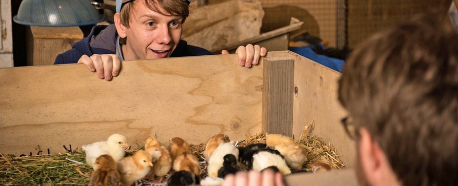 Dritte Staffel „Please Like Me“ startet mit Hühnern im Oktober bei Pivot – Serienschöpfer Josh Thomas steigt nun auch in Regie ein – Bild: Ben Timony /​ Pivot