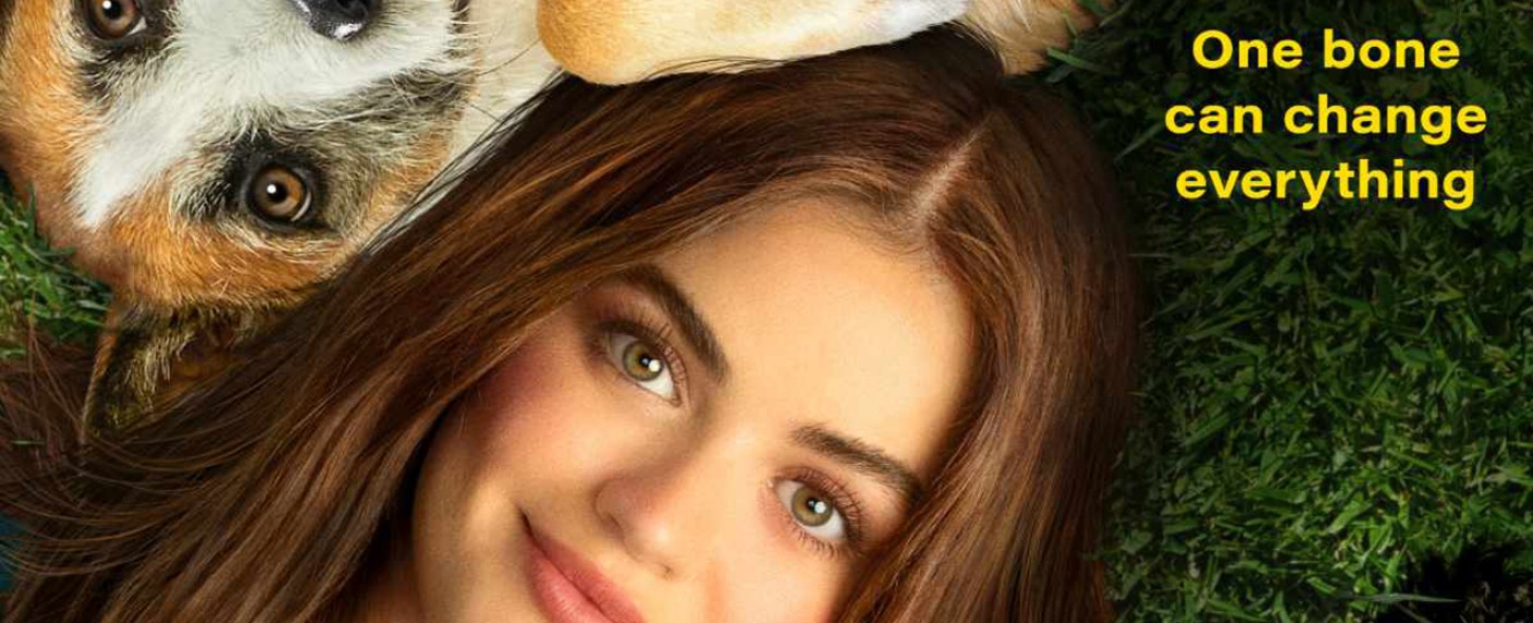 „Puppy Love“ vereint Grant Gustin („The Flash“) und Lucy Hale („PLL“) – RomCom mit Serienstars – Bild: Freevee