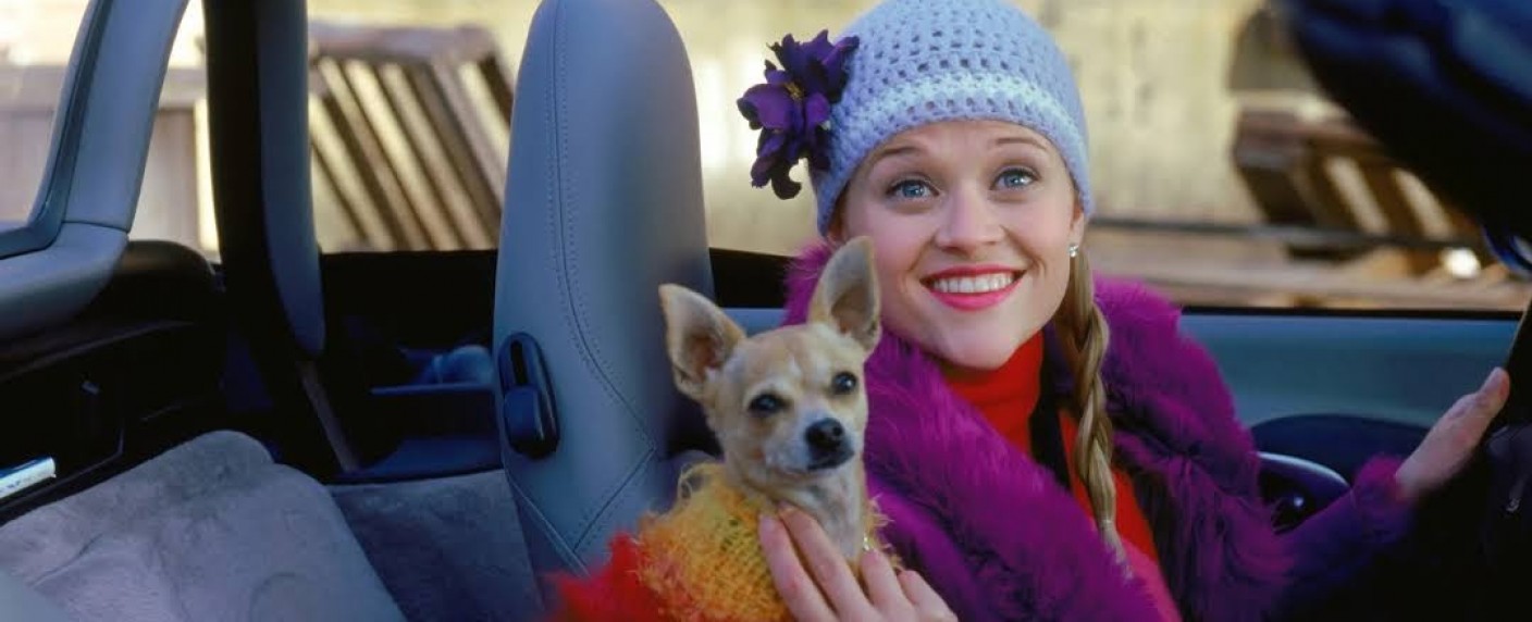 „Natürlich blond!“: Reese Witherspoon produziert Serien-Version – „Gossip Girl“-Macher für Adaption des Kino-Hits verpflichtet – Bild: 20th Century Fox