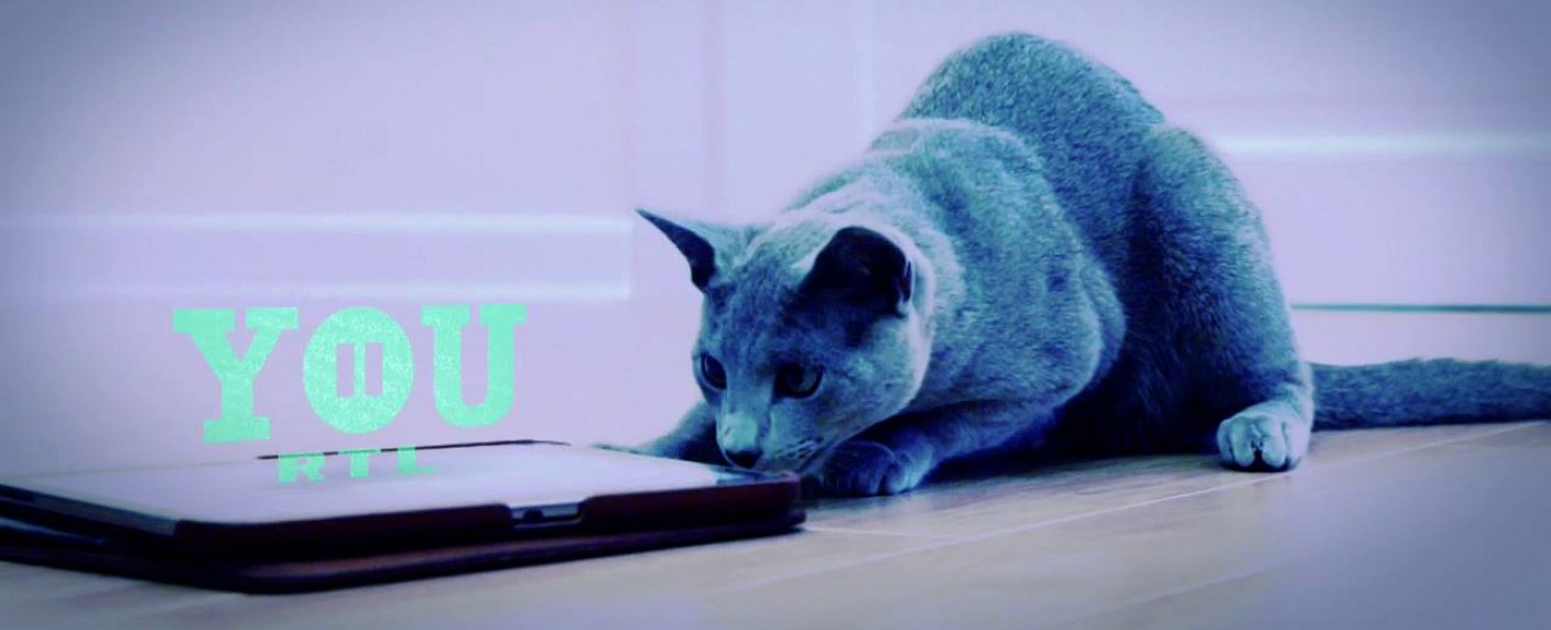 RTL II YOU hat den Sendebetrieb aufgenommen – Animes, Rocket Beans, YouTuber und Scripted Reality-Archivware – Bild: RTL II You