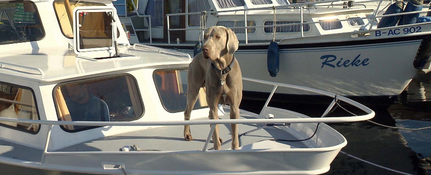 „Mein Hund, Dein Hund“: VOX macht den Hundehalter-Tausch – Wer ist das bessere Herrchen? – Bild: VOX /​ Imago TV