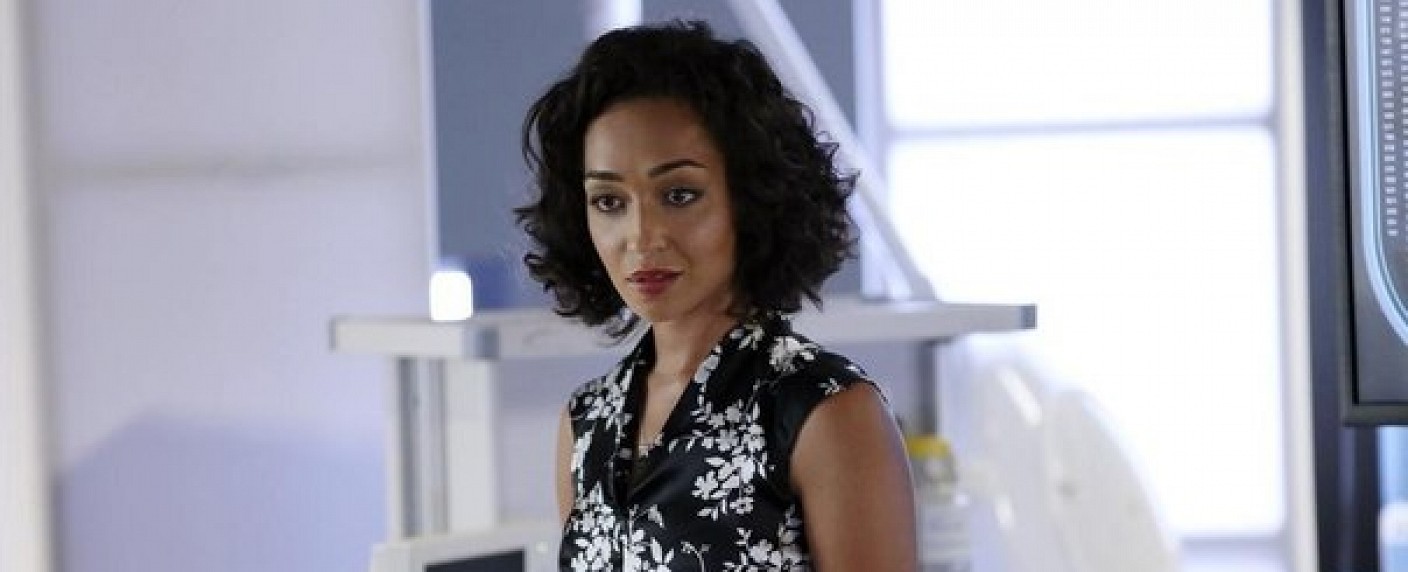 Ruth Negga („Preacher“) in neuer Serie mit Jake Gyllenhaal? – Neuverfilmung von „Aus Mangel an Beweisen“ des „Big Little Lies“-Autors – Bild: ABC Studios