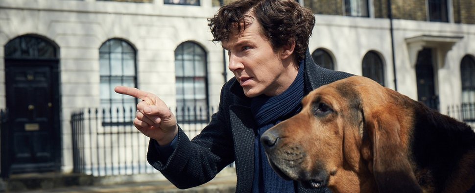 Sherlock (Benedict Cumberbatch) mit einem tierischen Begleiter im ersten offiziellen Foto zur vierten Staffel von „Sherlock“ – Bild: BBC