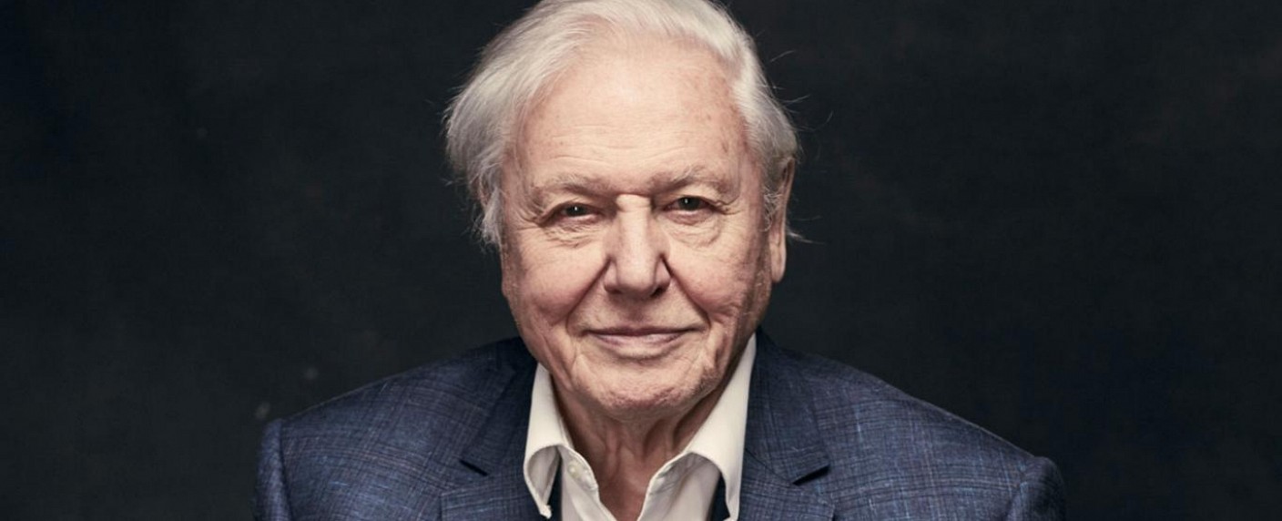 Nach „Planet Earth II“: BBC bestellt Fortsetzung zu „Unser Blauer Planet“ – WDR als Ko-Produzent von aufwendiger Unterwasser-Doku – Bild: BBC/​Sarah Dunn