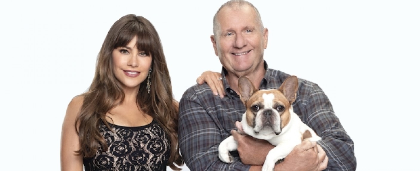 „Modern Family“: Bulldogge Stella verstirbt nach Ende der Dreharbeiten – Hündin stand sieben Staffeln lang neben den Pritchetts vor der Kamera – Bild: ABC