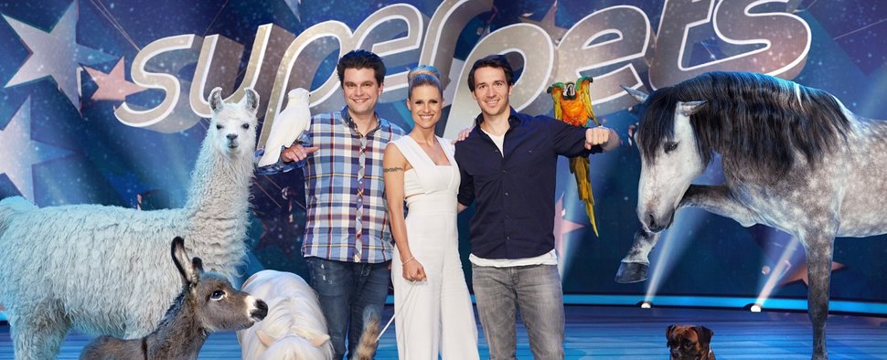 Die Moderatoren von „Superpets“: (V.l.) Lutz van der Horst, Michelle Hunziker und Felix Neureuther – Bild: SAT.1/Benedikt Müller