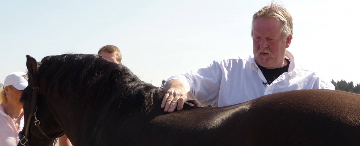 „Tamme Hanken“: Der Knochenbrecher geht wieder auf Tour – Neue Folgen der erfolgreichen Doku-Soap bei kabel eins – Bild: kabel eins