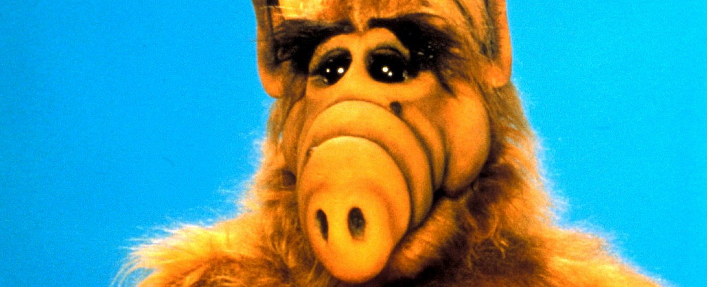 „ALF“: Pläne zur Neuauflage vorerst gescheitert – Doch kein Wiedersehen mit dem Außerirdischen – Bild: RTL Nitro