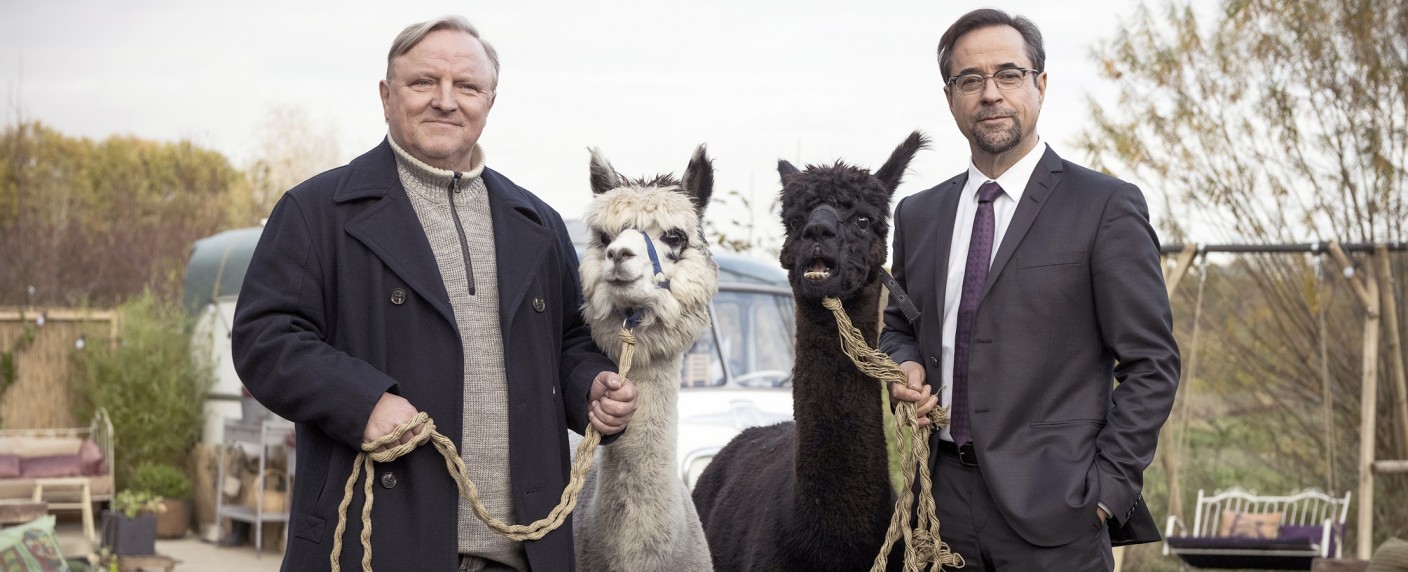 Quoten: Mehr als 14 Millionen für neuen Münster-„Tatort“, höchste Reichweite seit 2017 – „Grill den Henssler“-Jubiläum macht VOX froh, „Fack ju Göhte“ punktet in Sat.1 – Bild: WDR/​Martin Valentin Menke