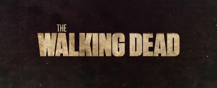 „The Walking Dead“ endet mit Staffel elf! – AMC bestellt Spin-Off mit zwei bekannten Protagonisten – Bild: AMC