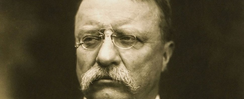 Theodore Roosevelt – Bild: gemeinfrei