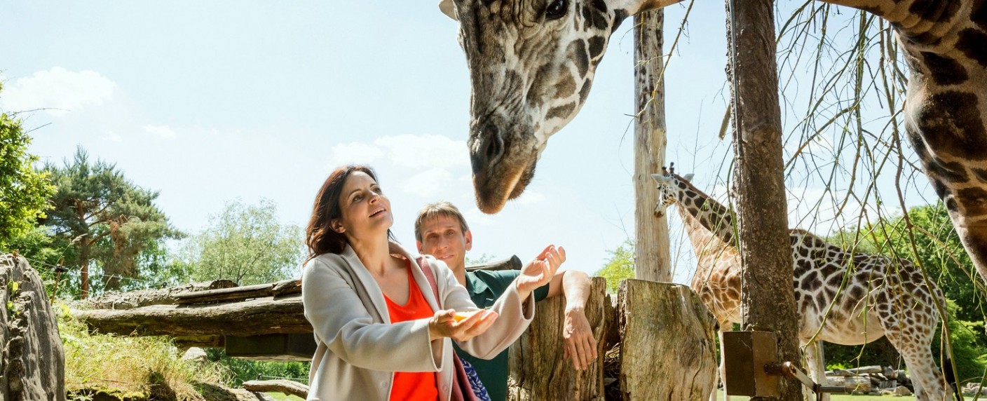 „Tierärztin Dr. Mertens“: Starttermin für siebte Staffel steht fest – Rückkehr der Familienserie im kommenden Jahr – Bild: ARD/​Steffen Junghans