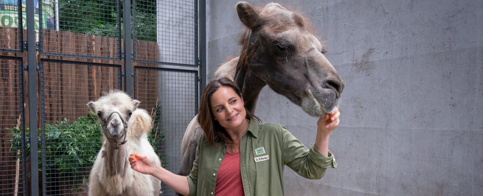 „Tierärztin Dr. Mertens“ startet in die neunte Staffel – Bild: ARD/Saxonia Media/Steffen Junghans