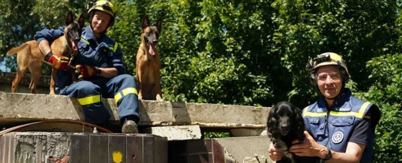 „Tierische Helden“: Neue RTL-Zwei-Doku über Rettungshunde im Einsatz – Neues Format ab Januar – Bild: RTL Zwei