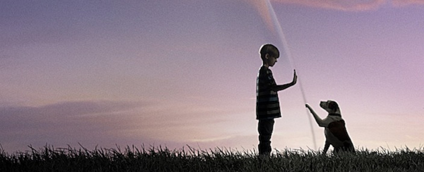 „Under the Dome“ gelingt in den USA Traumstart – Stephen-King-Adaption bald auf ProSieben – Bild: CBS Televison Studios/​Amblin TV